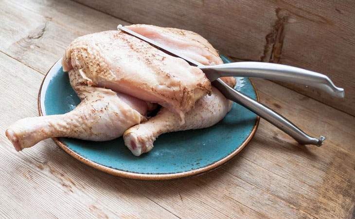 best poultry shears for spatchcocking turkey