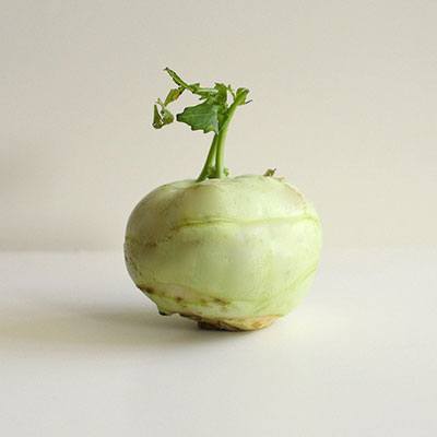 This isn't the prettiest kohlrabi bulb I've ever seen, but you get the idea.
